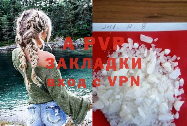 ГАЛЛЮЦИНОГЕННЫЕ ГРИБЫ Богданович