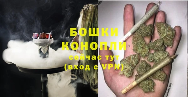ГАЛЛЮЦИНОГЕННЫЕ ГРИБЫ Богданович