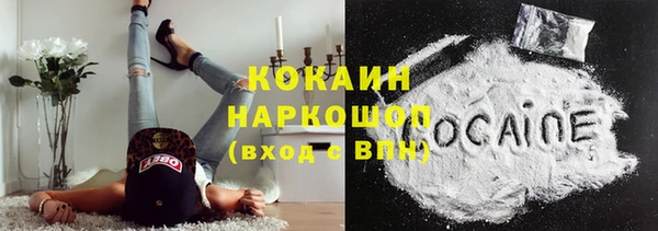 ГАЛЛЮЦИНОГЕННЫЕ ГРИБЫ Богданович