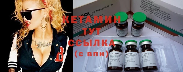 ГАЛЛЮЦИНОГЕННЫЕ ГРИБЫ Богданович